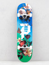 Load image into Gallery viewer, Primitive rosy spring complete skateboard