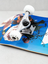 Load image into Gallery viewer, Primitive rosy spring complete skateboard