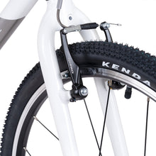 Load image into Gallery viewer, Trek Precaliber 20" Tourney Spartan
